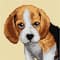 Orchidea Beagle Gobelin Canvas Cross Stitch Kit